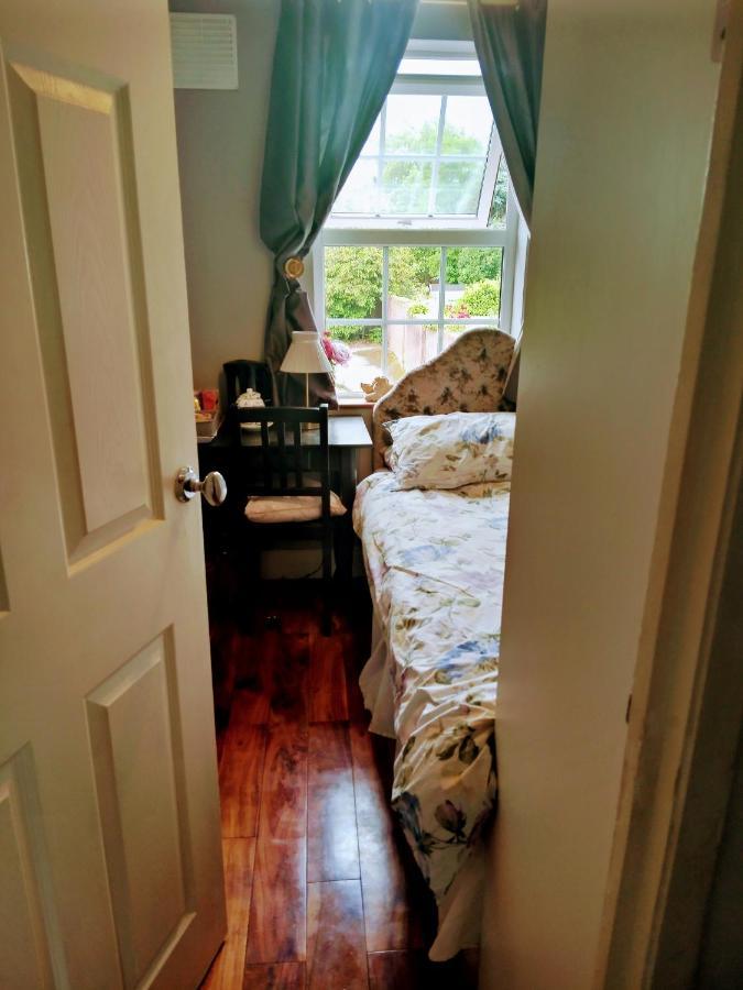 A Cosy Dublin Room Εξωτερικό φωτογραφία